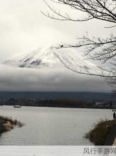 一二三四日本高清社区5-探索日本高清社区，畅享一二三四五的精彩体验！