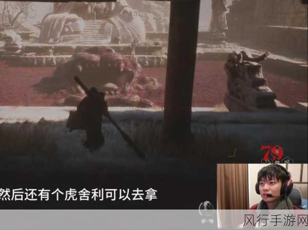 黑神话，悟空虎舍利与碧藕金丹的财经价值解析