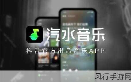 汽水音乐推广授权申请适什么-“拓展汽水音乐推广授权申请的详细攻略与注意事项”