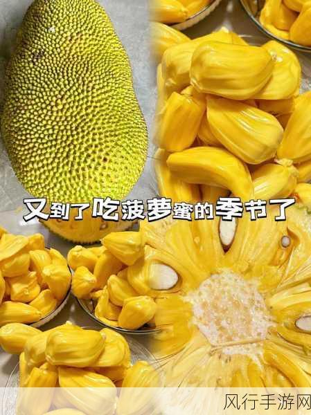 菠萝菠萝蜜在线-菠萝与菠萝蜜的奇妙结合，让味蕾惊艳无比