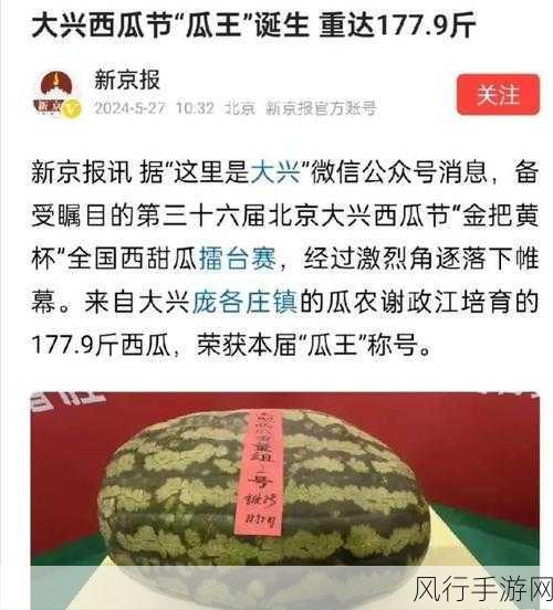 51吃瓜今日热门大瓜-今日吃瓜热议：51大瓜背后的真相与精彩内幕解析