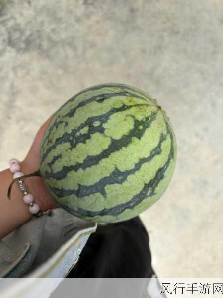 51吃瓜今日热门大瓜-今日吃瓜热议:51大瓜背后的真相与精彩内幕解析