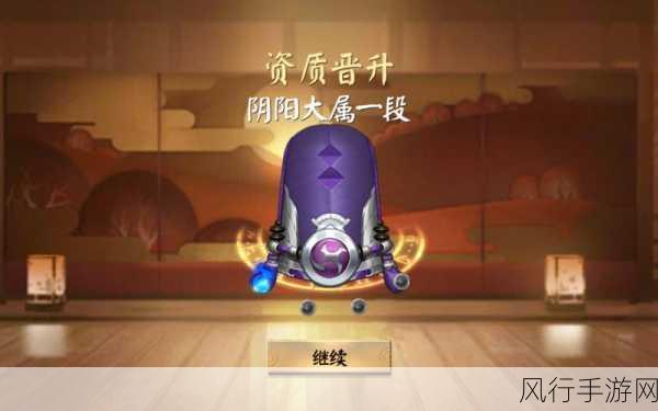 决战平安京大天狗灵咒选择策略,提升游戏体验与经济效益