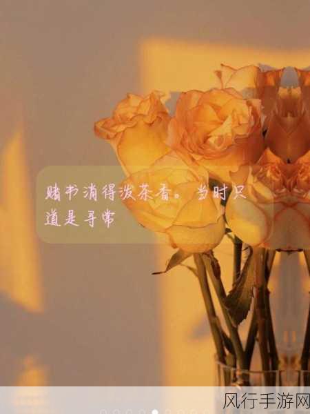 赌书消得泼茶香，探寻典故背后的深意