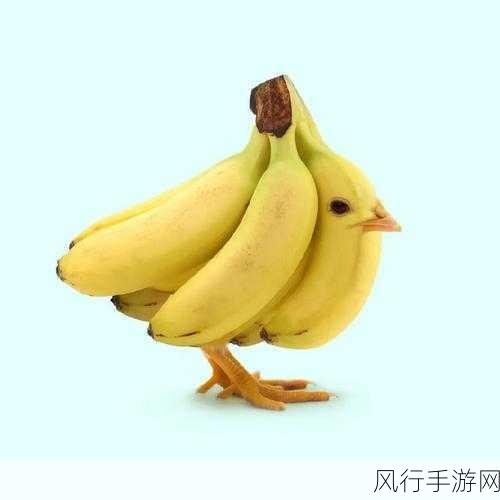 日韩香蕉视频-探索日韩文化中的香蕉视频魅力与创意表现