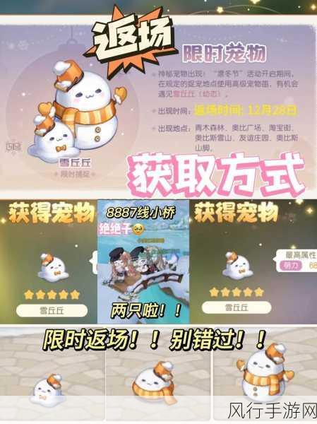 探索奥比岛手游，捐赠道具的巧妙方法