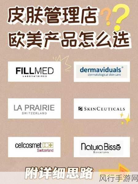 欧美地区一二三专区-深化欧美市场一二三产品线的战略拓展与发展策略