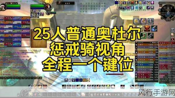 惩戒骑一键输出宏设置-惩戒骑一键输出宏设置详解与使用技巧分享