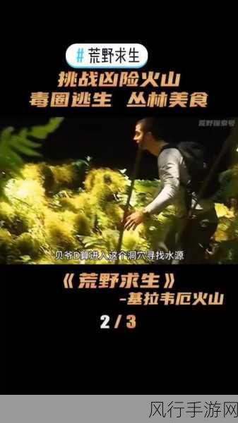 暴躁大妈荒野逃生k9-暴躁大妈荒野逃生记：陪伴K9犬的冒险之旅