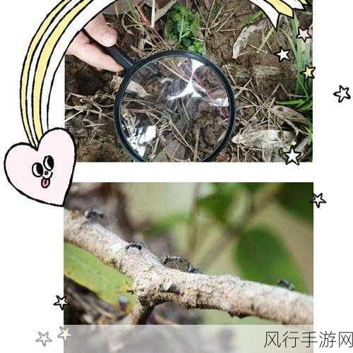探秘蚂蚁新村动作捕捉师的神奇操作
