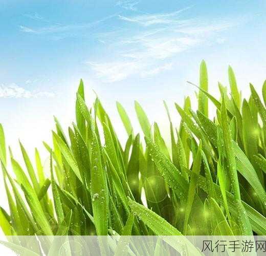 嫩草传媒-嫩草传媒:探索年轻文化,传递新鲜视角与创意理念