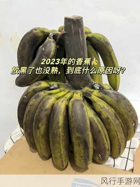 香蕉视频2023-2023年香蕉视频：探索最新娱乐趋势与创新内容