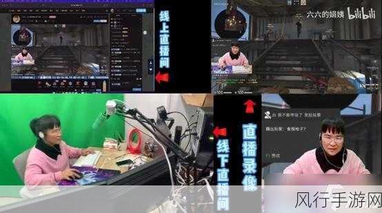 暴躁老阿姨玩csgo-“暴躁老阿姨化身CSGO高手，游戏中展现惊人技巧！”