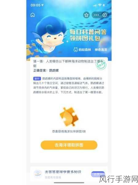 探索蚂蚁庄园中的太阳镜奥秘