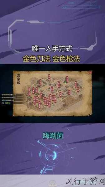 大侠立志传枪法咋玩-拓展大侠立志传:枪法修炼与实战技巧全攻略