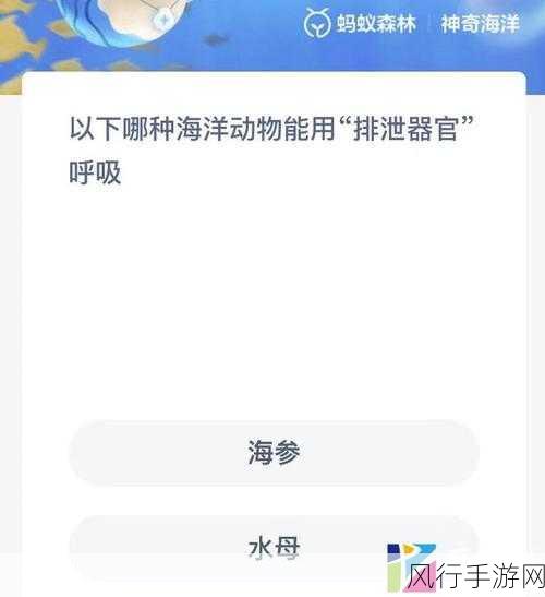 神奇海洋中的触手之谜，支付宝里的答案探索