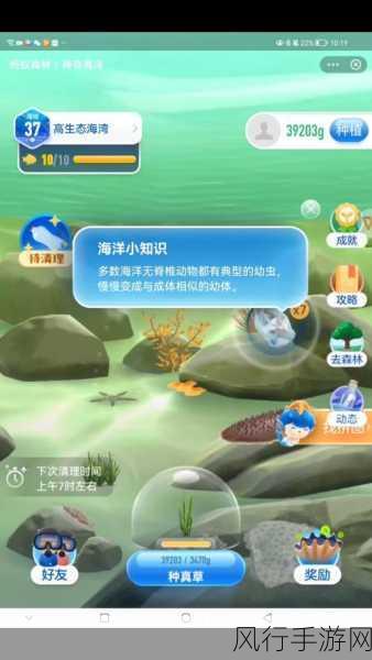 神奇海洋中的触手之谜,支付宝里的答案探索
