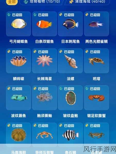 海胆与穿山甲,谁拥有锋利牙齿?——蚂蚁庄园 7 月 18 日探秘