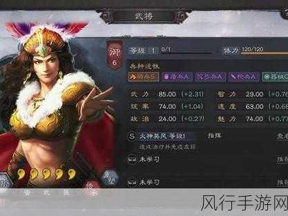 三国志战略版周瑜祝融夫人,策略搭配下的财经新视角