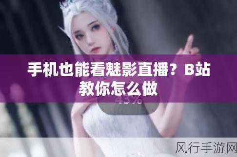 看b站二十四小时直播间怎么看-如何在B站观看二十四小时直播间的详细指南