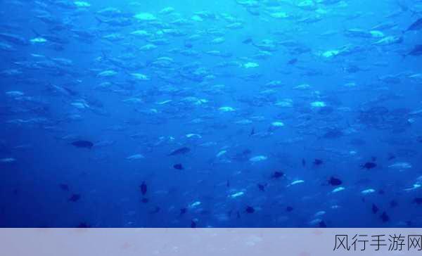 洛克王国探索海洋,深度攻略与财经数据解析