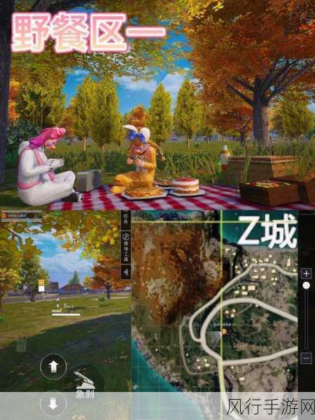 探索刺激战场中的野餐胜地