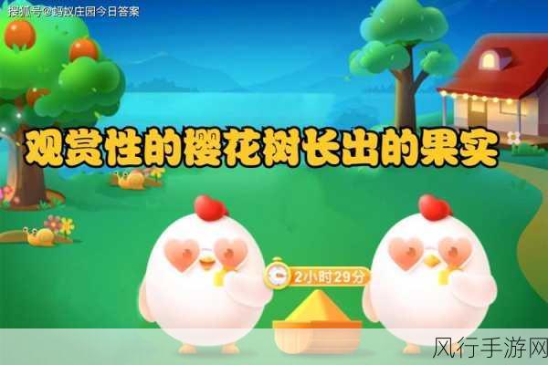 探秘樱花果实与蚂蚁庄园，观赏性樱花树的谜底揭晓