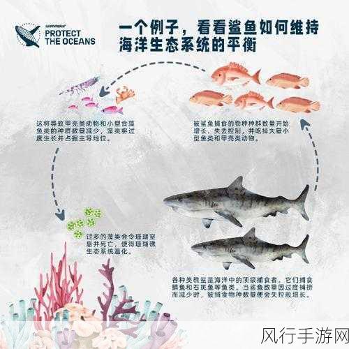 探索鱼类保持身体平衡的奥秘