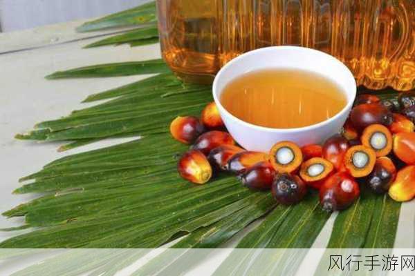 揭开棕榈油的神秘面纱，源自玉米还是油棕？