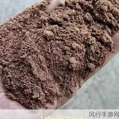 揭开棕榈油的神秘面纱,源自玉米还是油棕?