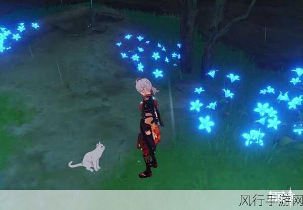 原神热门任务揭秘,断刀冢任务触发攻略