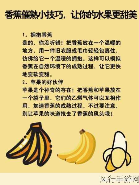 香蕉视频怎么下载-如何顺利下载香蕉视频，轻松享受精彩内容？