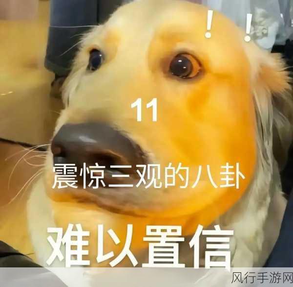 吃瓜不打烊-八卦爆料在线观看-八卦趣闻不断更新，吃瓜不停歇的爆料盛宴