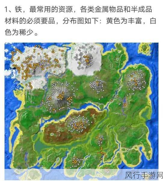 方舟，生存进化经济生态解析，生存、发展与进化的财务蓝图