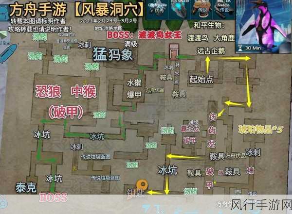 方舟,生存进化经济生态解析,生存、发展与进化的财务蓝图
