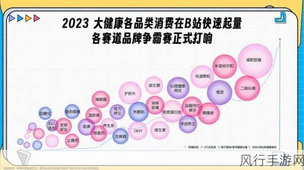 b站推广网站2023-2023年B站推广网站的全新发展与创新策略分享