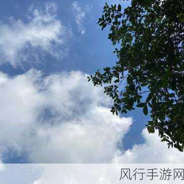 星空传媒XK8-“探索无限可能，拓展星空传媒XK8的未来新篇章”