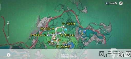 光之子梅西尔德森林，揭秘最后一个宝箱的财富密码