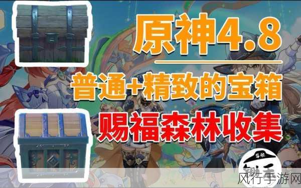 光之子梅西尔德森林,揭秘最后一个宝箱的财富密码