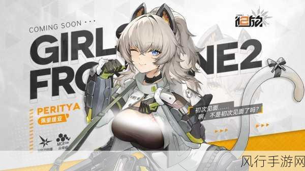 少女前线2，追放全角色配件选择策略与财经分析