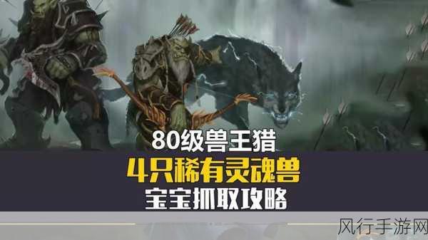 魔兽世界盆地灵魂兽-魔兽世界：探索神秘盆地灵魂兽的奇幻冒险