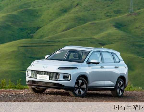 一级毛suv好看一国产免费-全新设计的一级毛SUV,国产品牌带来无限魅力与性价比