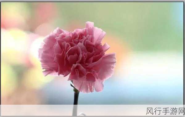 重游母亲桃花源-重返桃花源：寻觅母亲的温暖记忆与心灵归宿