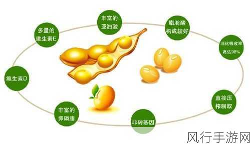 欧美另类高清XXXXX大豆行情-欧美地区另类大豆行情分析及高清市场趋势探讨