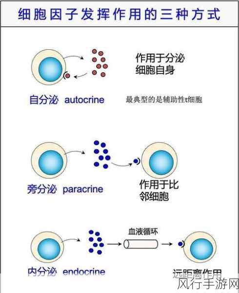 缩小放在nK里-探索拓展与缩小的奥秘：在nK空间中的应用与实践