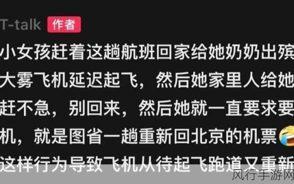 贰佰信息网金属仙踪林-探索金属仙踪林的奥秘与奇幻之旅