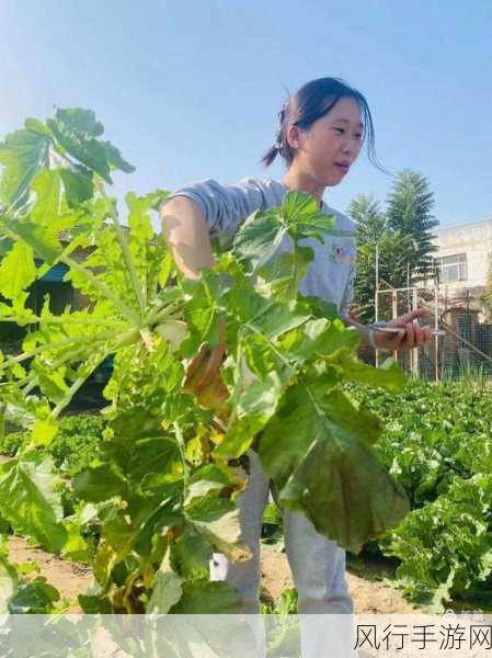 女两人一起拔萝卜生孩子-姐妹协力拔萝卜,共同迎接新生命的喜悦时刻