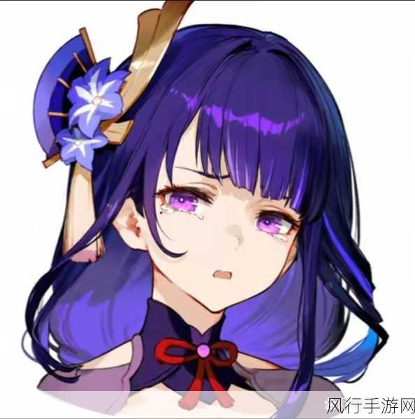 原神雷神全精通玩法深度剖析,精通流如何引领潮流