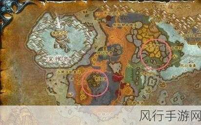 蛛魔几丁质怎么这么贵-揭秘拓展蛛魔几丁质高昂价格背后的原因与价值分析