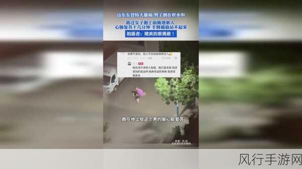 成色好p31s软件真实-探索高性能P31S软件的真实使用体验与优势分析